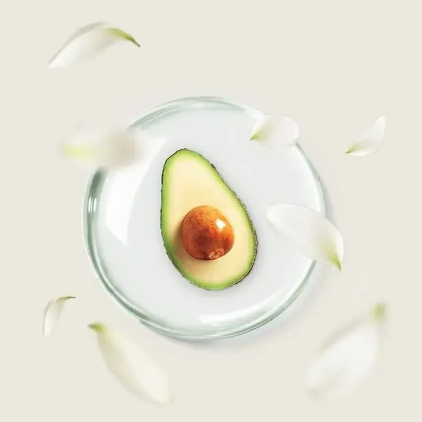 Avocado tree extract