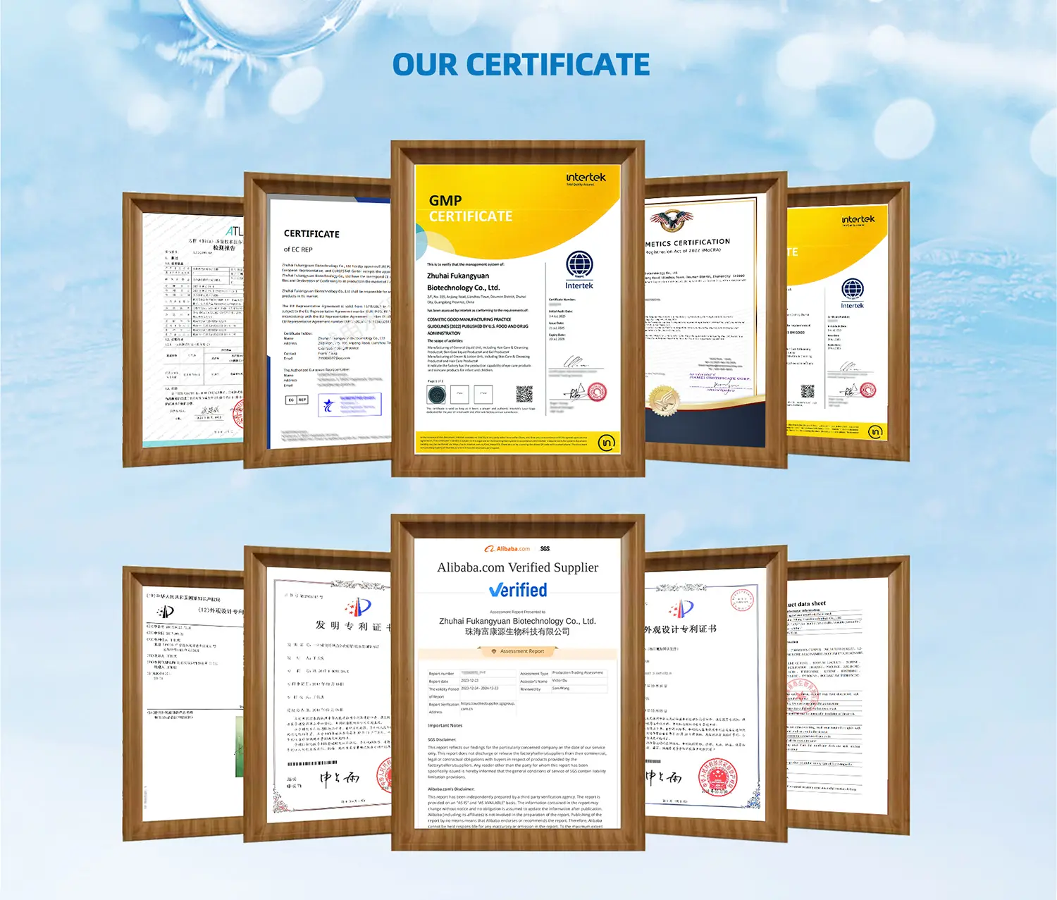 证书（更新）_05 拷贝