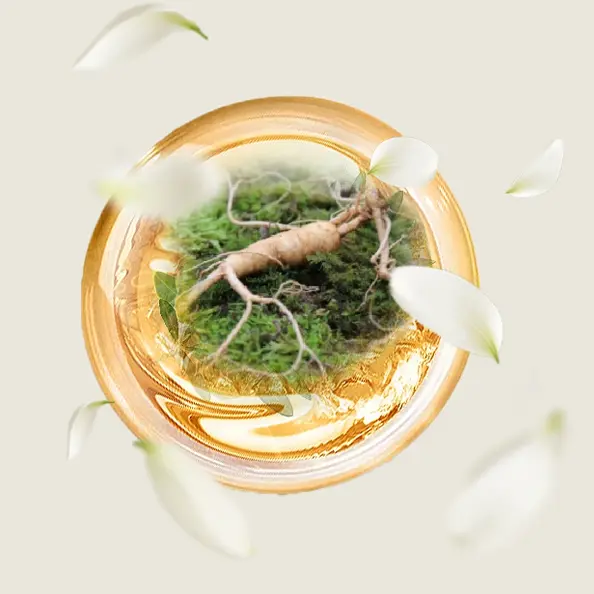 Gentian Root Extract