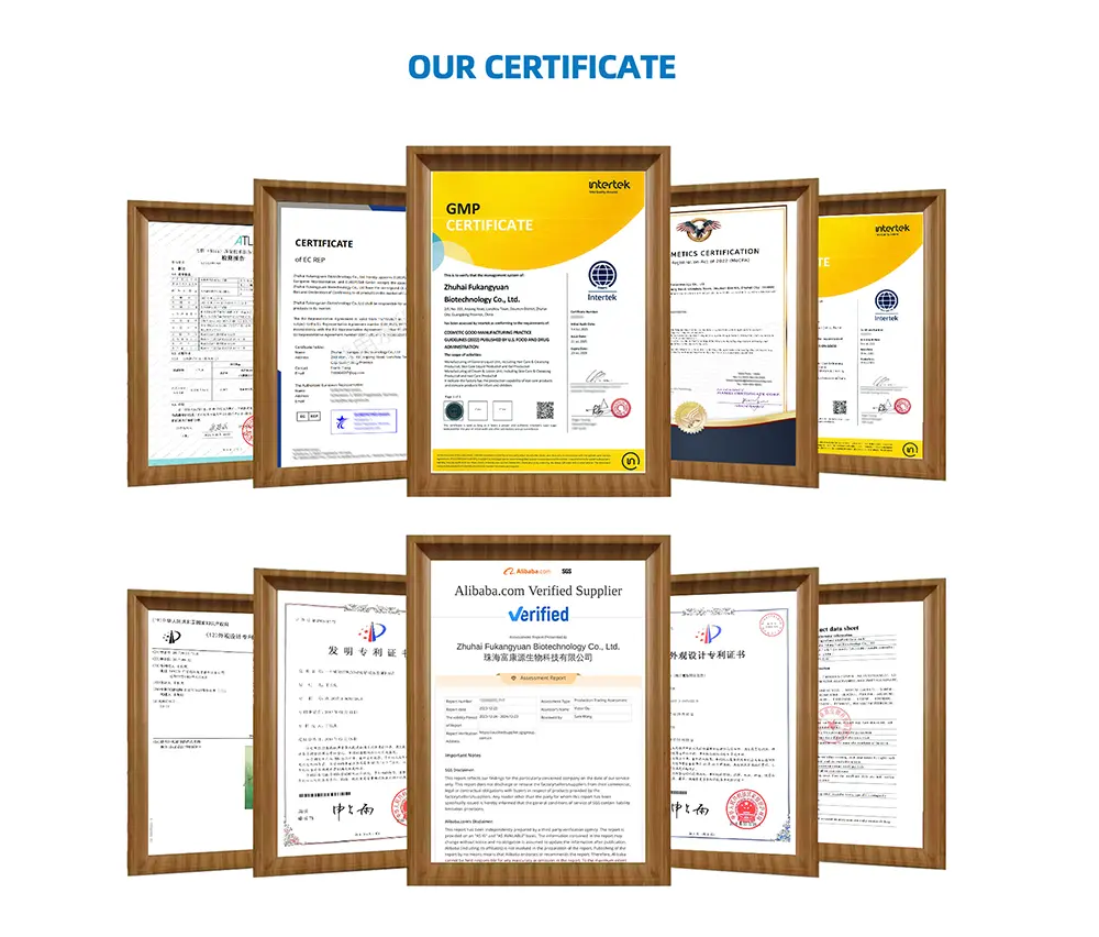 证书（更新）白底_05 拷贝